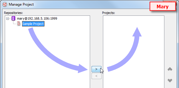 visual paradigm team server